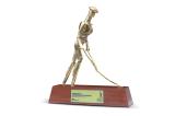 GERDAU AWARD BEST EARTH