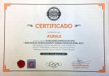 CERTIFICATE BEST COMPANIES IN IDHO - DEVELOPMENT INDICATOR HUMAN ORGANIZATIONAL 2016