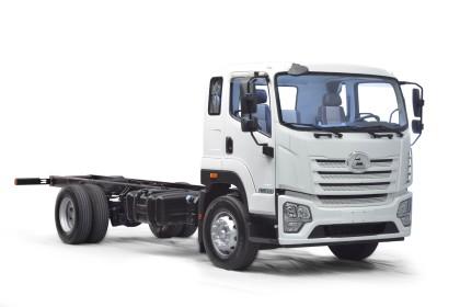 TRUCK AGRALE A15000